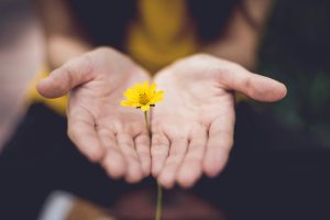 Hope symbolized by a small flower in a woman's hands